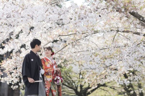 名古屋城の桜の横を歩く夫婦