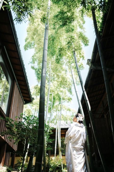 古川美術館の背の高い竹の木と白無垢を着た新婦
