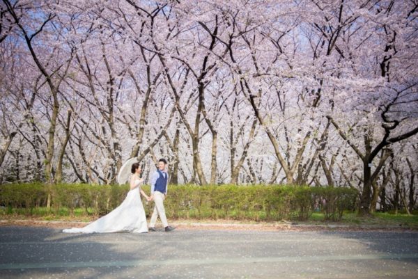 庄内緑地公園の満開の桜をバックに手をつないで歩く新郎新婦