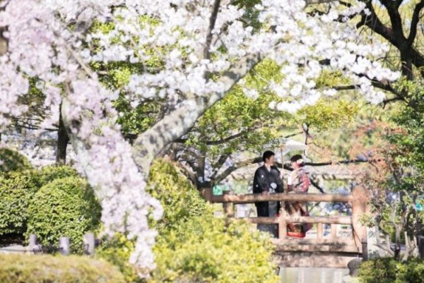 中村公園の桜と橋の上の2人