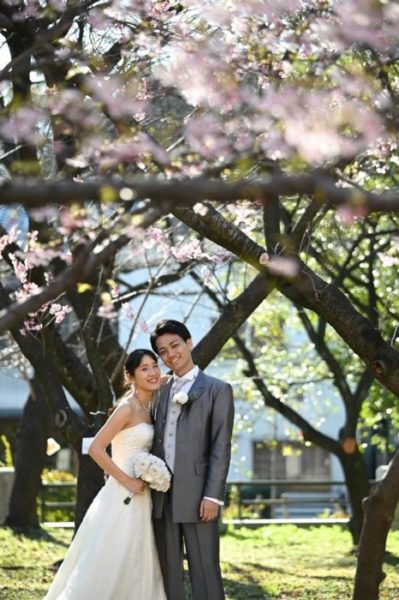 市政資料館の外に咲いている桜と夫婦