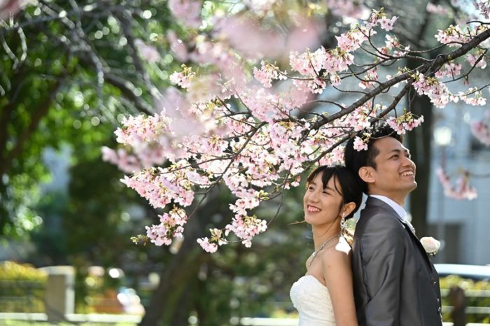しだれ桜とお互いの背中を合わせてポージングしている夫婦