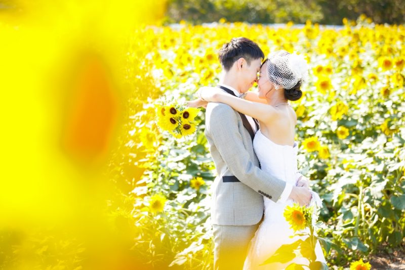 向日葵に囲まれてた中でハグしている結婚写真