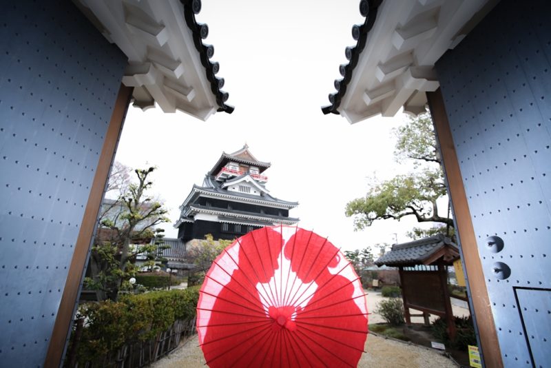 清洲城が綺麗に見えるスポットで和傘を使った和装フォトの1枚