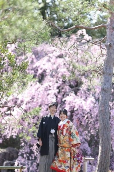 松と桜と夫婦の素敵な結婚写真