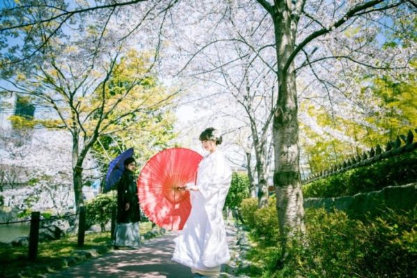 桜シーズンに着物を着て前撮り撮影