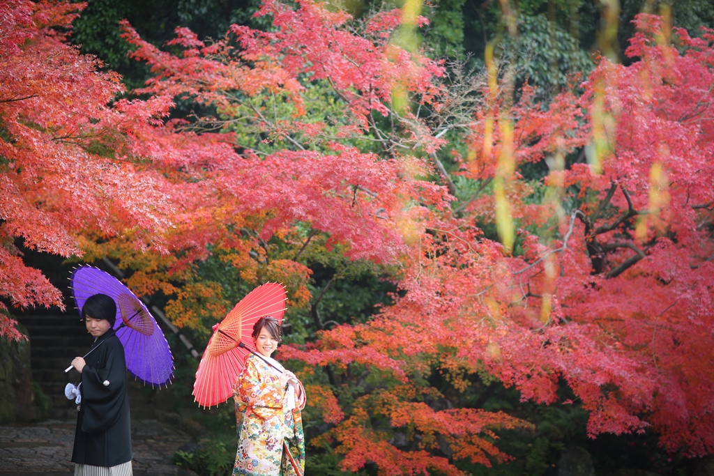 美しい紅葉の中で新婦のソロ前撮り撮影