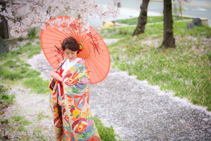 桜の下で和傘を持つ新婦
